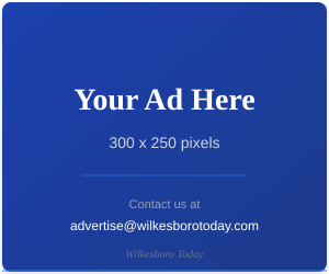 Advertisement - Medium Rectangle